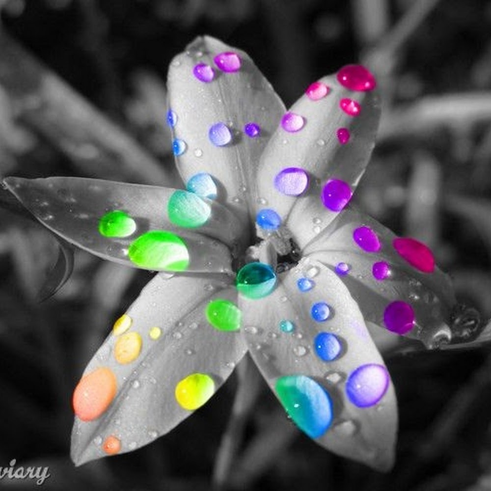 Meet your Posher, Jen